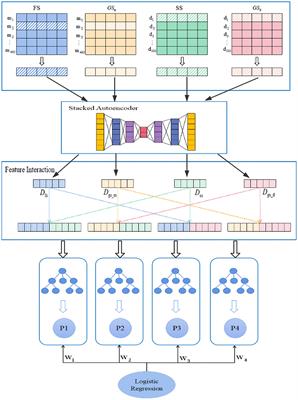 PMDFI: Predicting miRNA–Disease Associations Based on High-Order Feature Interaction